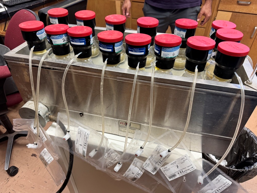 In-vitro rumen fermentation system
